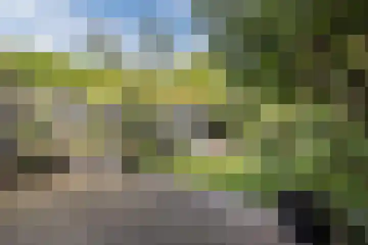 Burgemeester Wijnaendtslaan 4 Rotterdam thumbnail 19