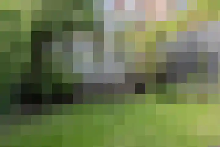 Burgemeester Wijnaendtslaan 4 Rotterdam thumbnail 21