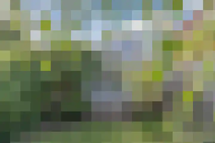 Burgemeester Wijnaendtslaan 4 Rotterdam thumbnail 22