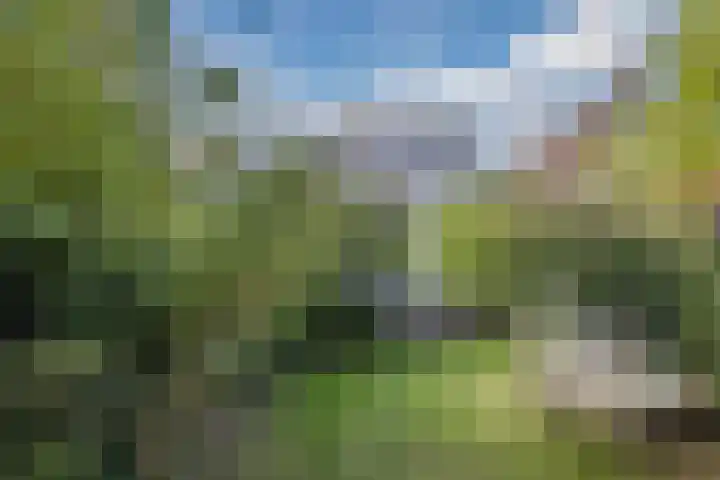 Burgemeester Wijnaendtslaan 4 Rotterdam thumbnail 23