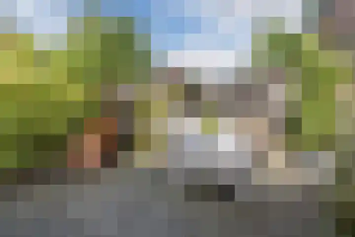 Burgemeester Wijnaendtslaan 4 Rotterdam thumbnail 26