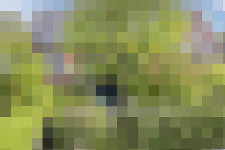 Burgemeester Wijnaendtslaan 4 Rotterdam thumbnail 34