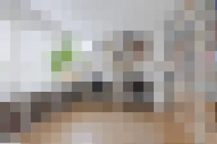 Burgemeester Wijnaendtslaan 4 Rotterdam thumbnail 37