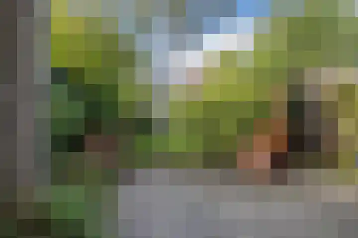 Burgemeester Wijnaendtslaan 4 Rotterdam thumbnail 4