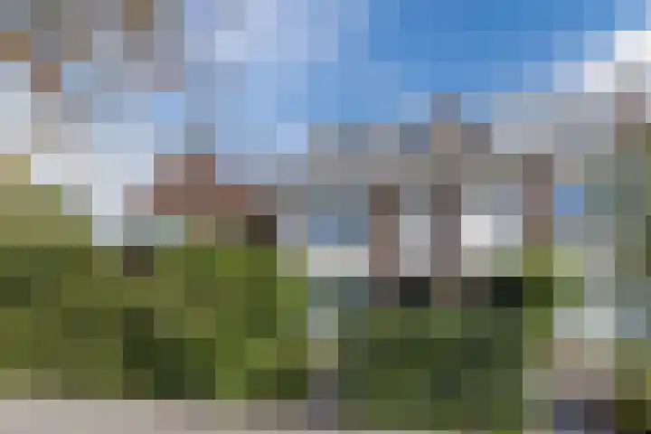 Burgemeester Wijnaendtslaan 4 Rotterdam thumbnail 5