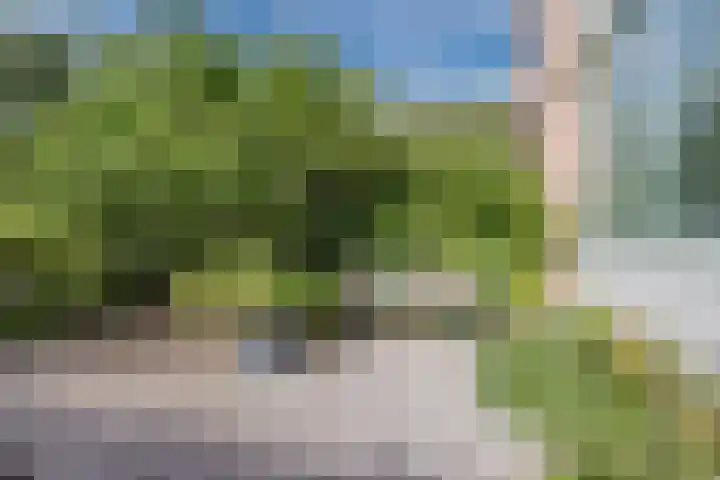 Burgemeester Wijnaendtslaan 4 Rotterdam thumbnail 6