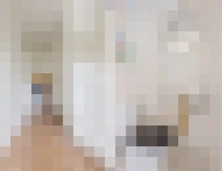 Burgemeester Wijnaendtslaan 4 Rotterdam thumbnail 8