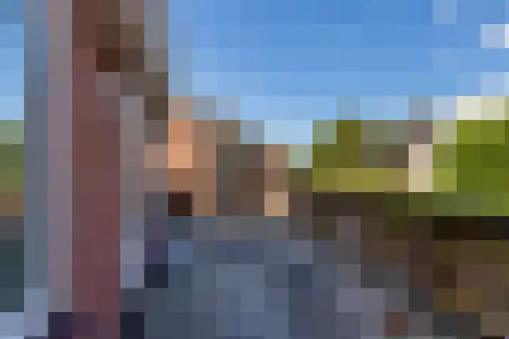 Burgemeester Wijnaendtslaan 70 A Rotterdam thumbnail 22
