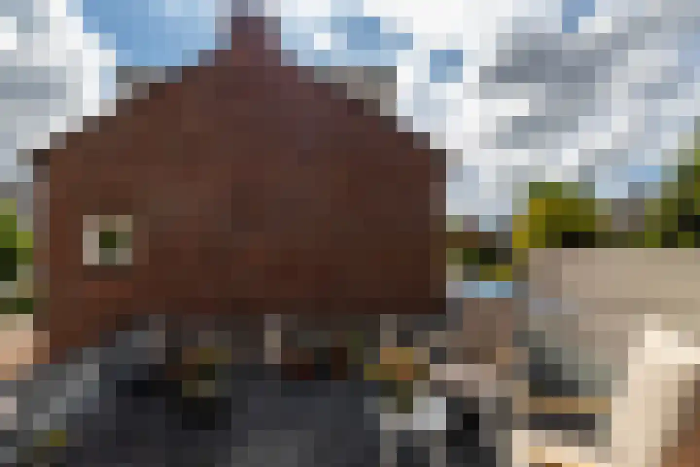 Burgemeester Wijnaendtslaan 78 B Rotterdam thumbnail 35