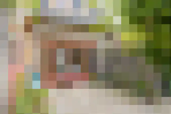Burgemeester Wijnenstraat 29 Asten thumbnail 36