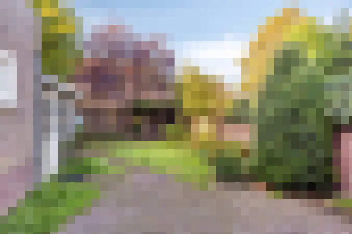 Burgemeester Wijnenstraat 31 Asten thumbnail 25