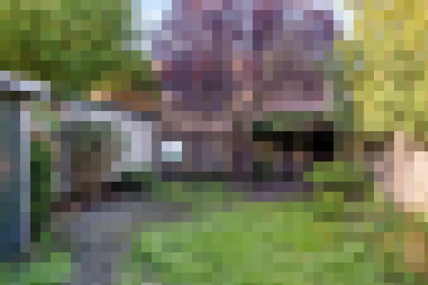 Burgemeester Wijnenstraat 31 Asten thumbnail 26
