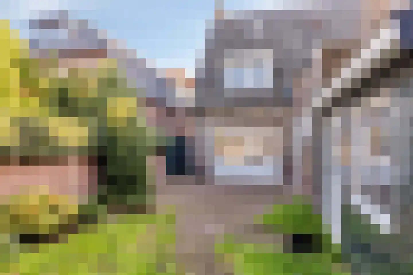 Burgemeester Wijnenstraat 31 Asten thumbnail 27