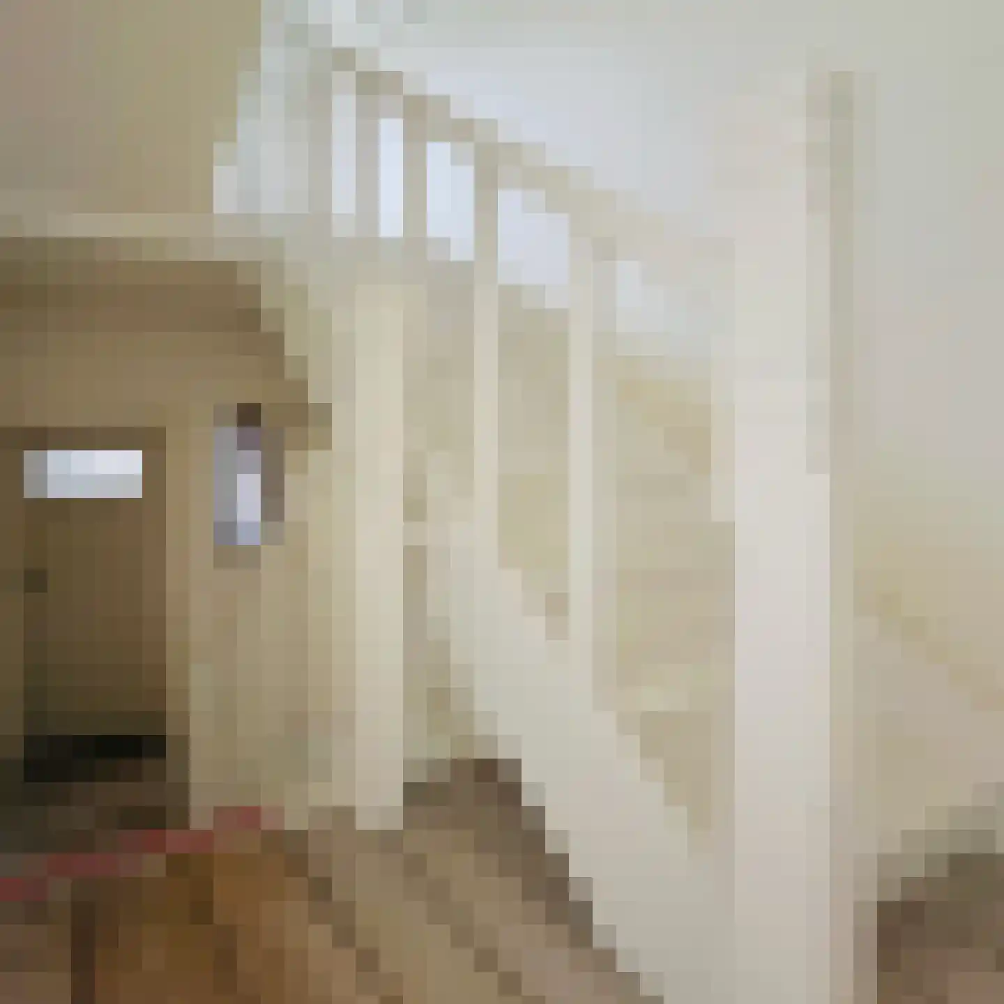 Burgemeester Wijnenstraat 9 Asten thumbnail 22