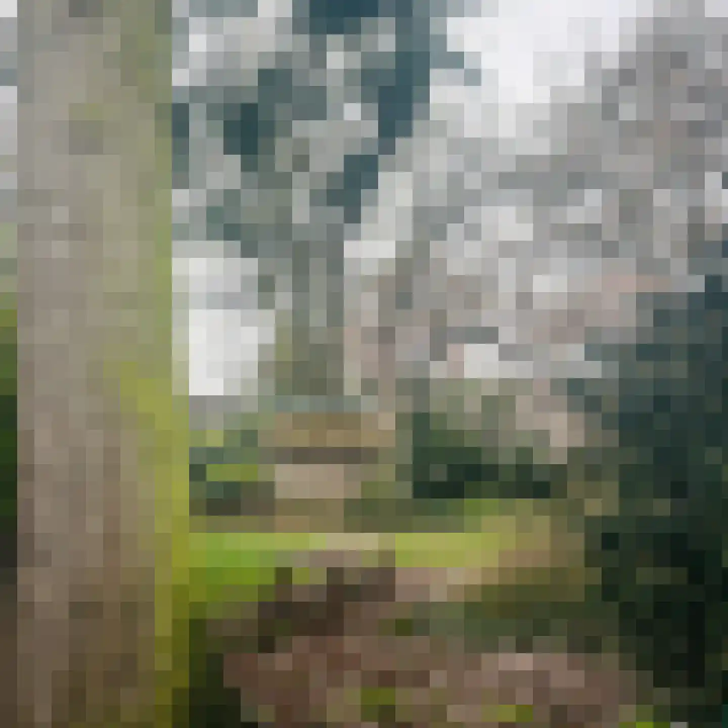 Burgemeester Wijnenstraat 9 Asten thumbnail 24