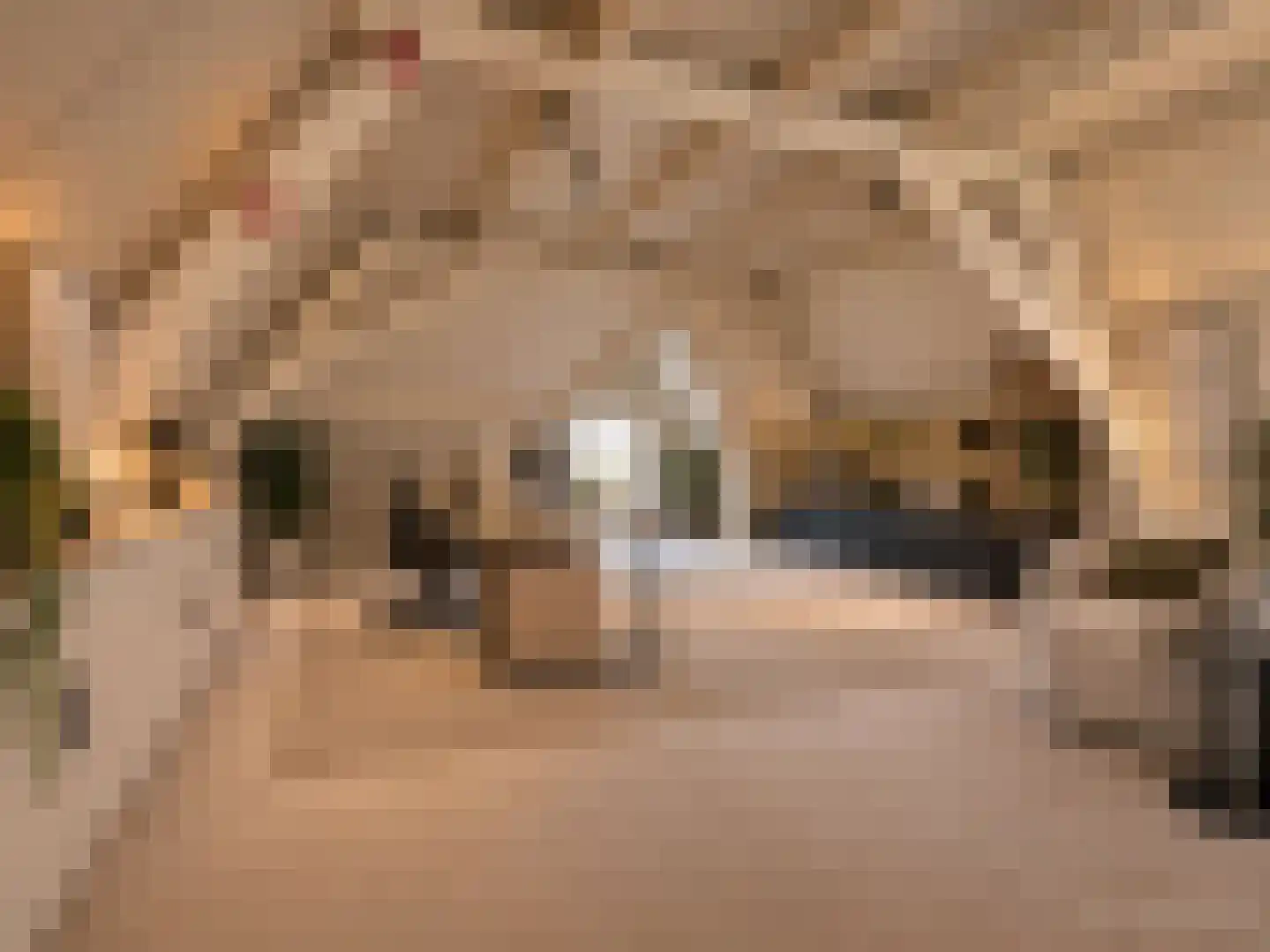 Burgemeester Wijnenstraat 9 Asten thumbnail 26