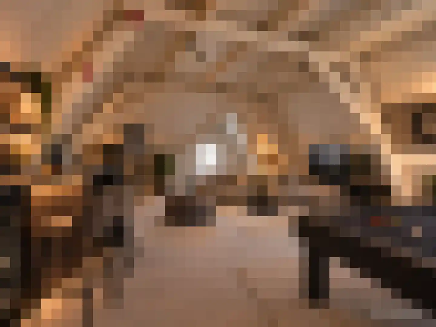 Burgemeester Wijnenstraat 9 Asten thumbnail 27