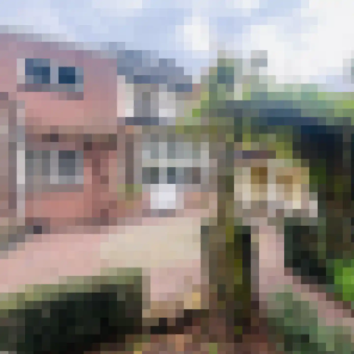 Burgemeester Wijnenstraat 9 Asten thumbnail 4