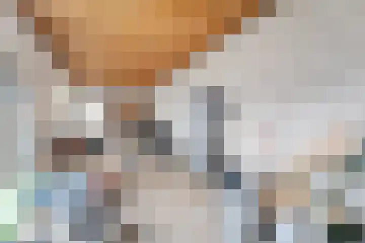 burgemeester Wijniastraat 21 Denekamp thumbnail 10