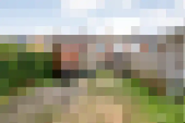 burgemeester Wijniastraat 21 Denekamp thumbnail 16