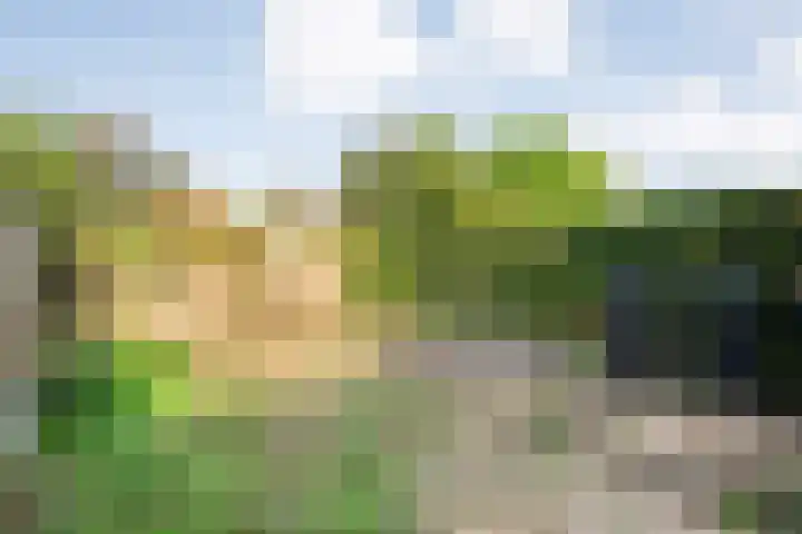 burgemeester Wijniastraat 21 Denekamp thumbnail 18