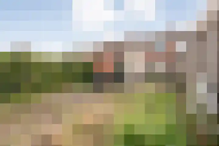 burgemeester Wijniastraat 21 Denekamp thumbnail 4