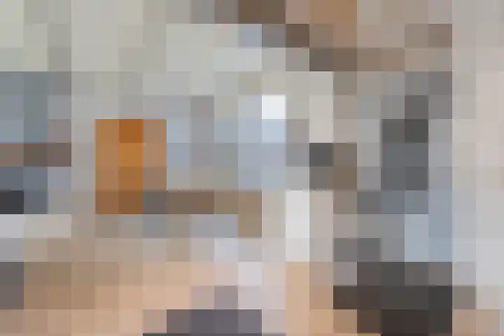 burgemeester Wijniastraat 21 Denekamp thumbnail 8