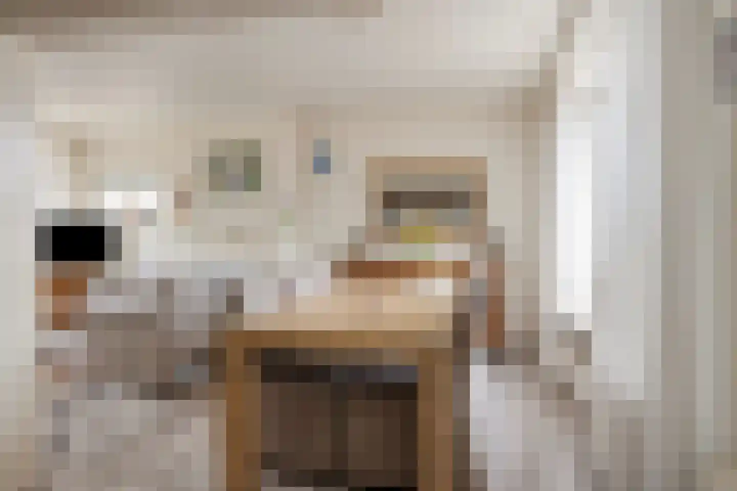 burgemeester Wijniastraat 36 Denekamp thumbnail 11