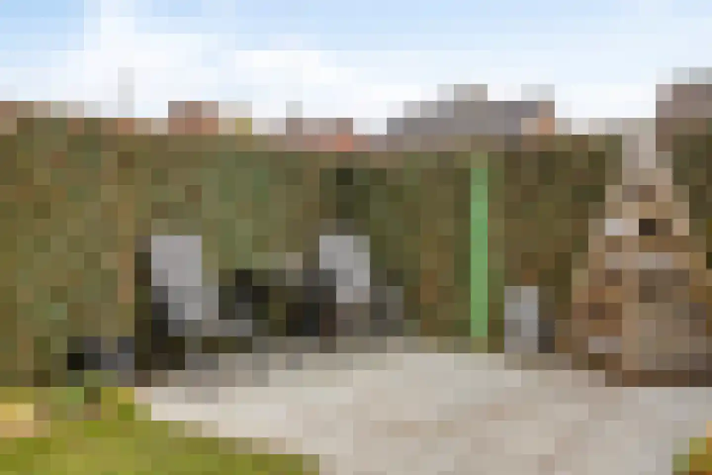 burgemeester Wijniastraat 36 Denekamp thumbnail 28