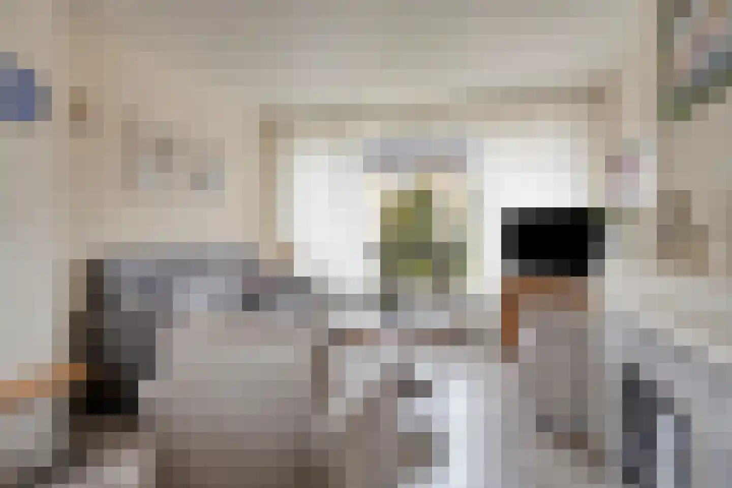 burgemeester Wijniastraat 36 Denekamp thumbnail 8