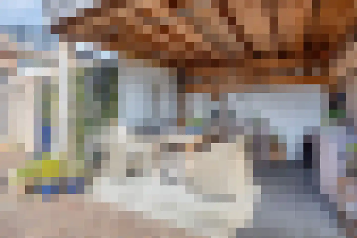 burgemeester Wijniastraat 38 Denekamp thumbnail 38