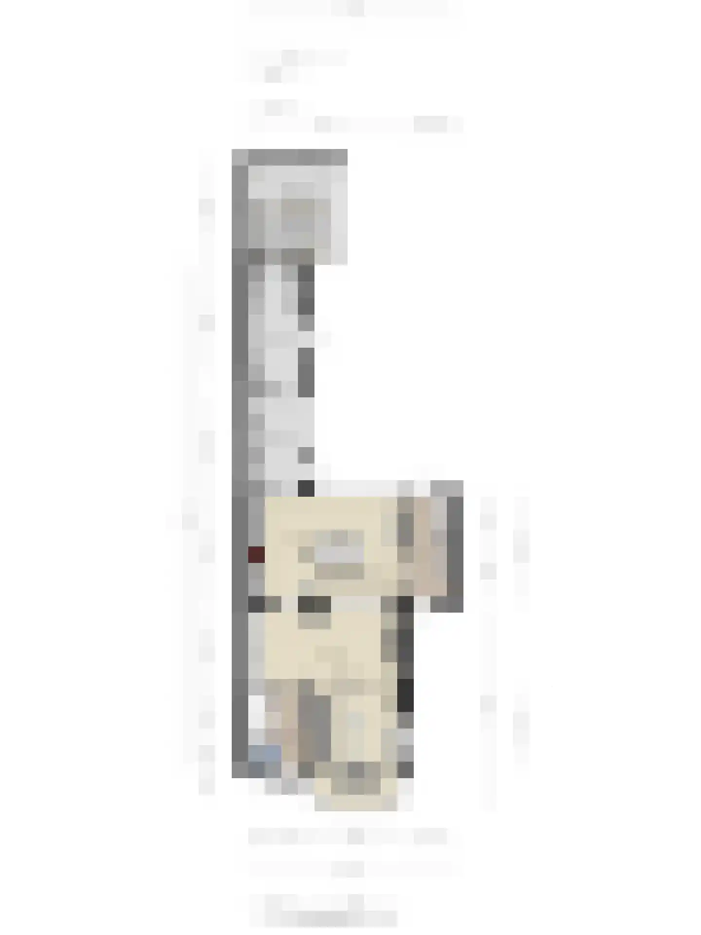 burgemeester Wijniastraat 38 Denekamp thumbnail 44