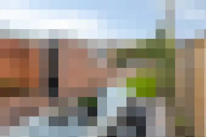 burgemeester Wijniastraat 42 Denekamp thumbnail 26