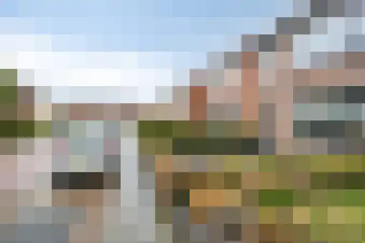 burgemeester Wijniastraat 42 Denekamp thumbnail 31