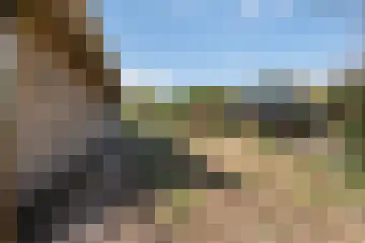 Burgemeester Wilhelmweg 7 Eibergen thumbnail 31