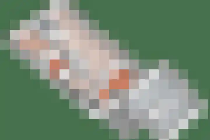 Burgemeester Wilhelmweg 7 Eibergen thumbnail 34