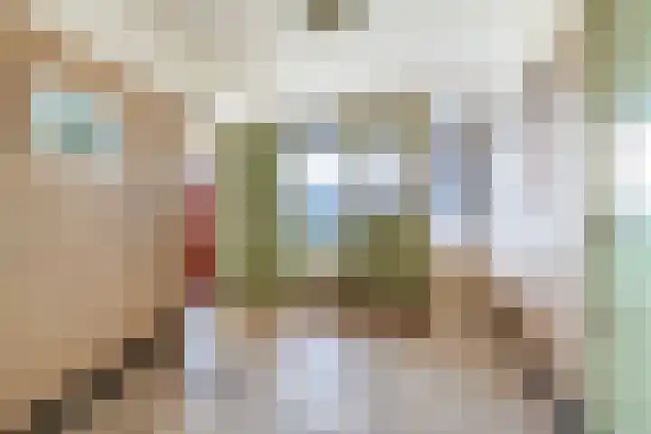 Burgemeester Wilhelmweg 7 Eibergen thumbnail 9