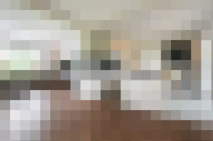Burgemeester Wilhelmweg 9 Eibergen foto 2