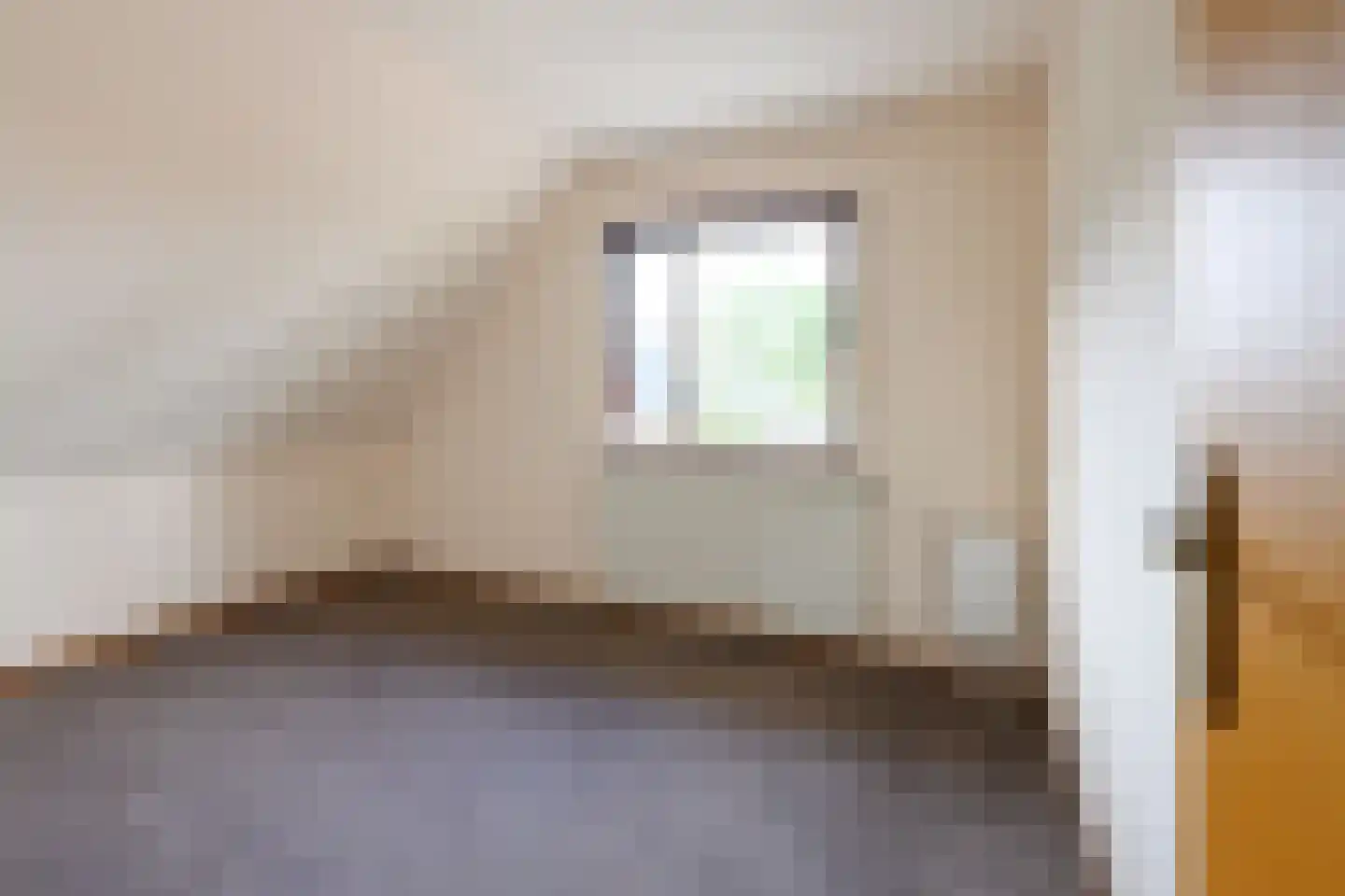 Burgemeester Willemsestraat 19 Dieren thumbnail 16