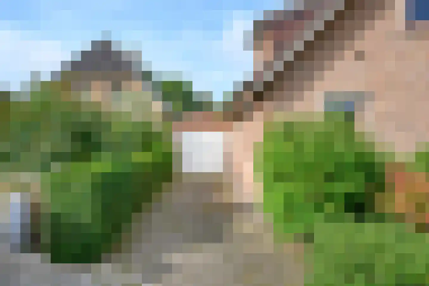 Burgemeester Willemsestraat 19 Dieren thumbnail 22