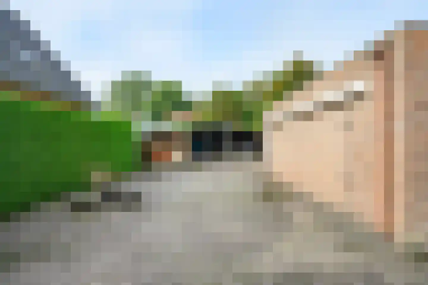 Burgemeester Willemsestraat 19 Dieren thumbnail 27