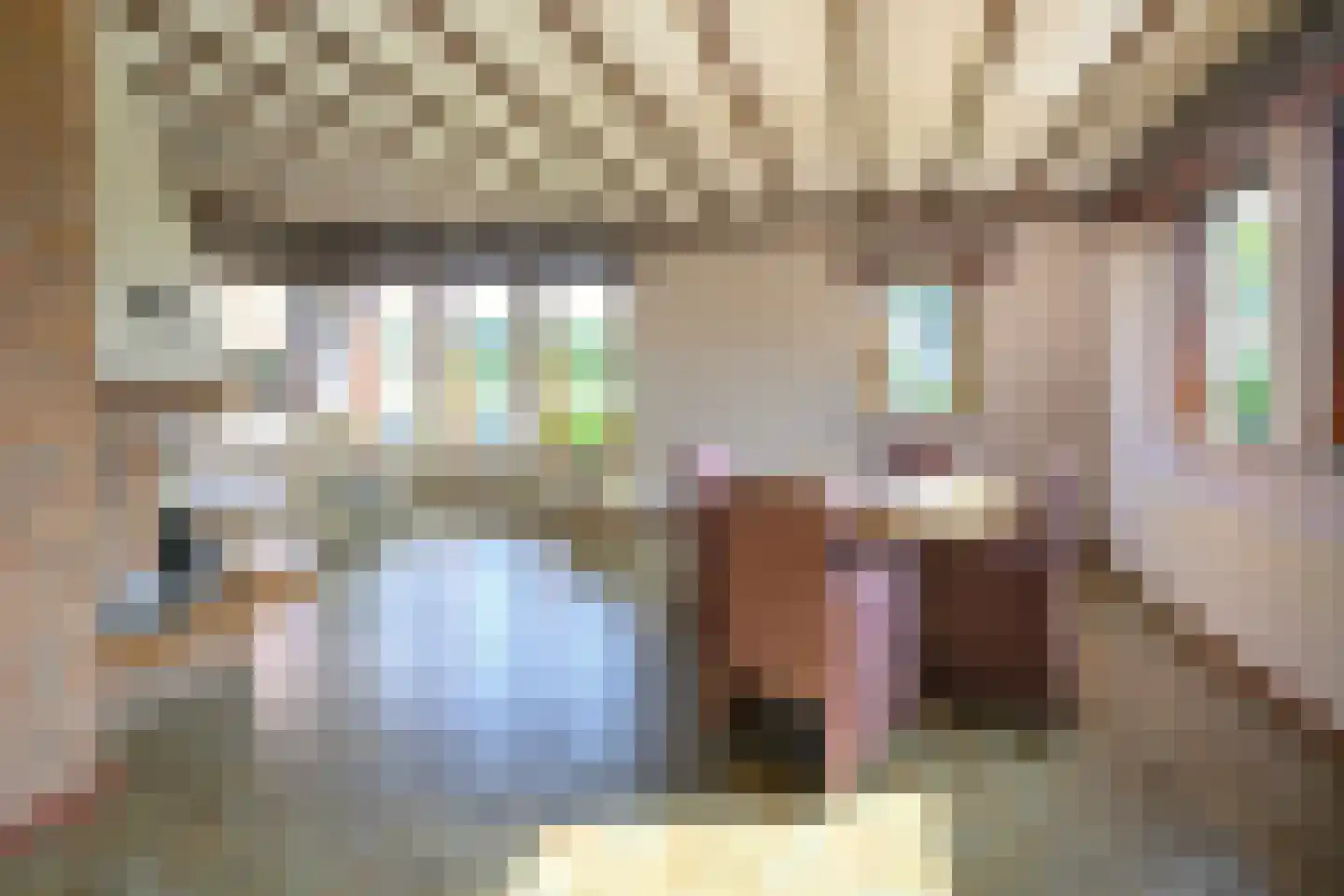 Burgemeester Willemsestraat 19 Dieren thumbnail 4