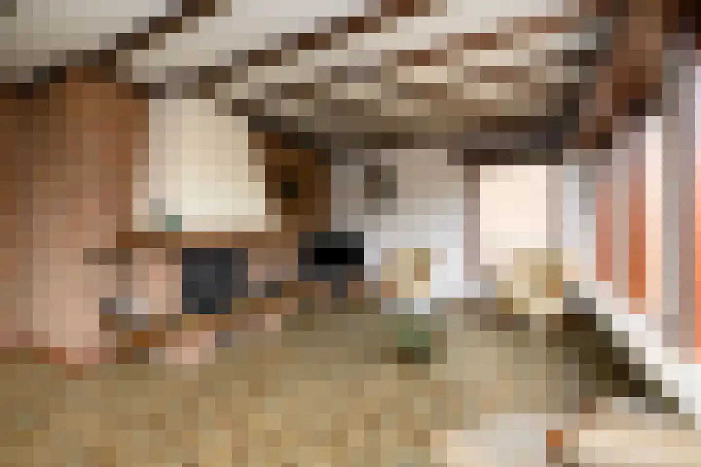 Burgemeester Willemsestraat 19 Dieren thumbnail 9