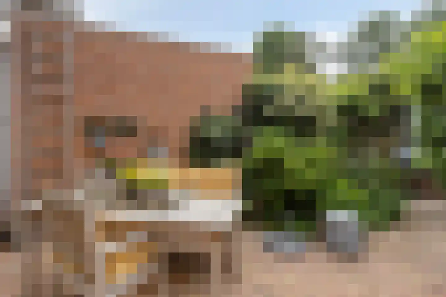 Burgemeester Winklerstraat 14 Bergambacht thumbnail 26