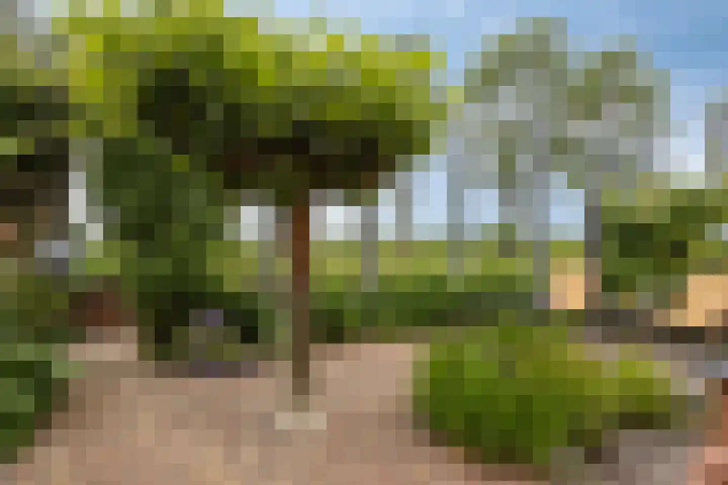 Burgemeester Winklerstraat 14 Bergambacht thumbnail 29