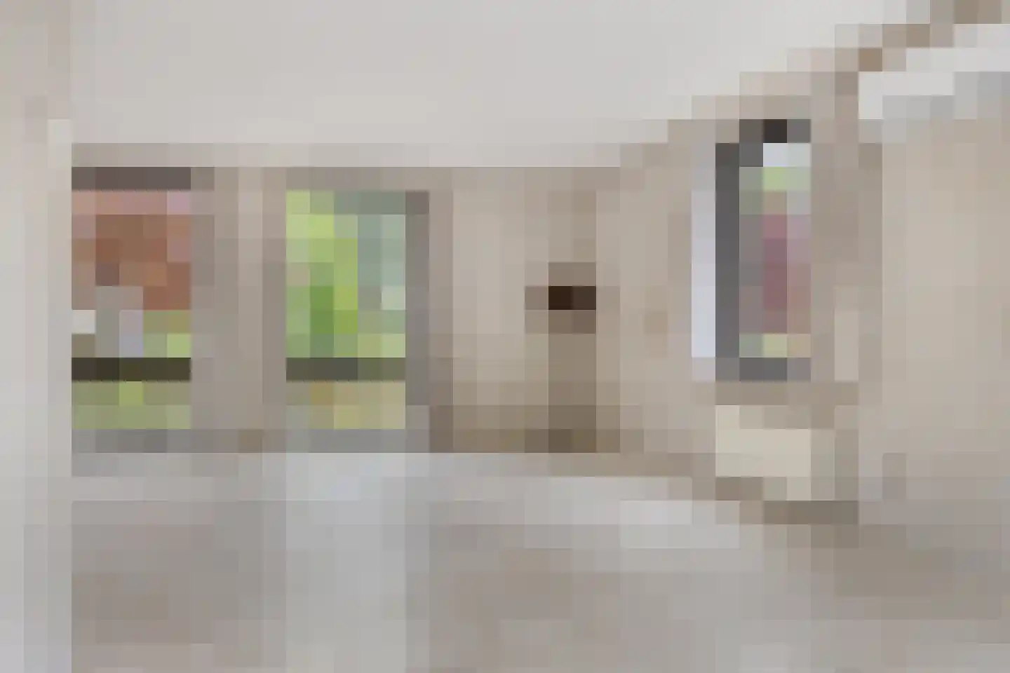 Burgemeester Wittestraat 1 Eindhoven thumbnail 10