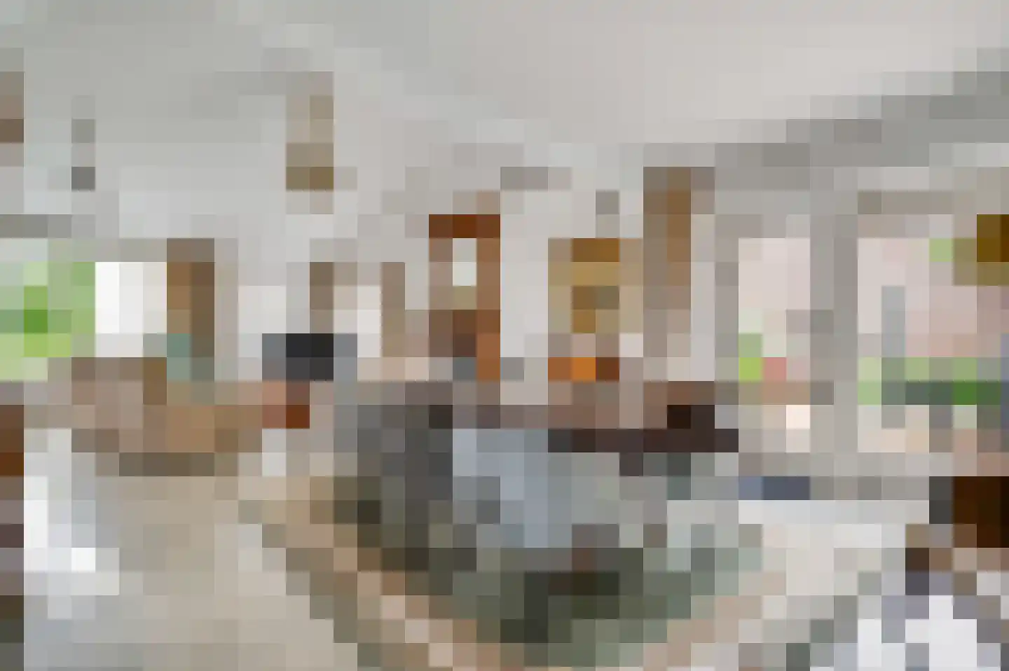 Burgemeester Wittestraat 10 Eindhoven thumbnail 13