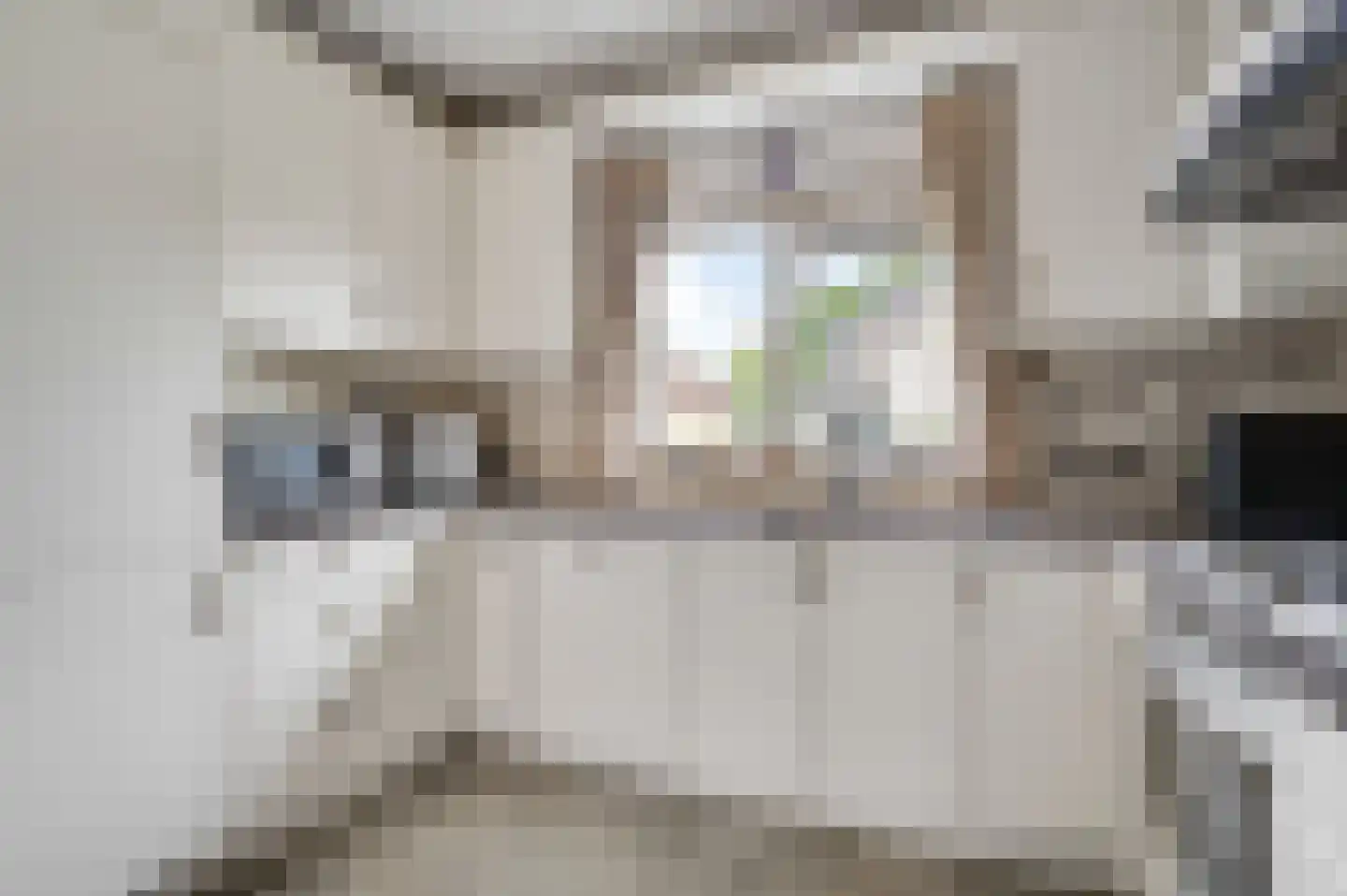 Burgemeester Wittestraat 10 Eindhoven thumbnail 14
