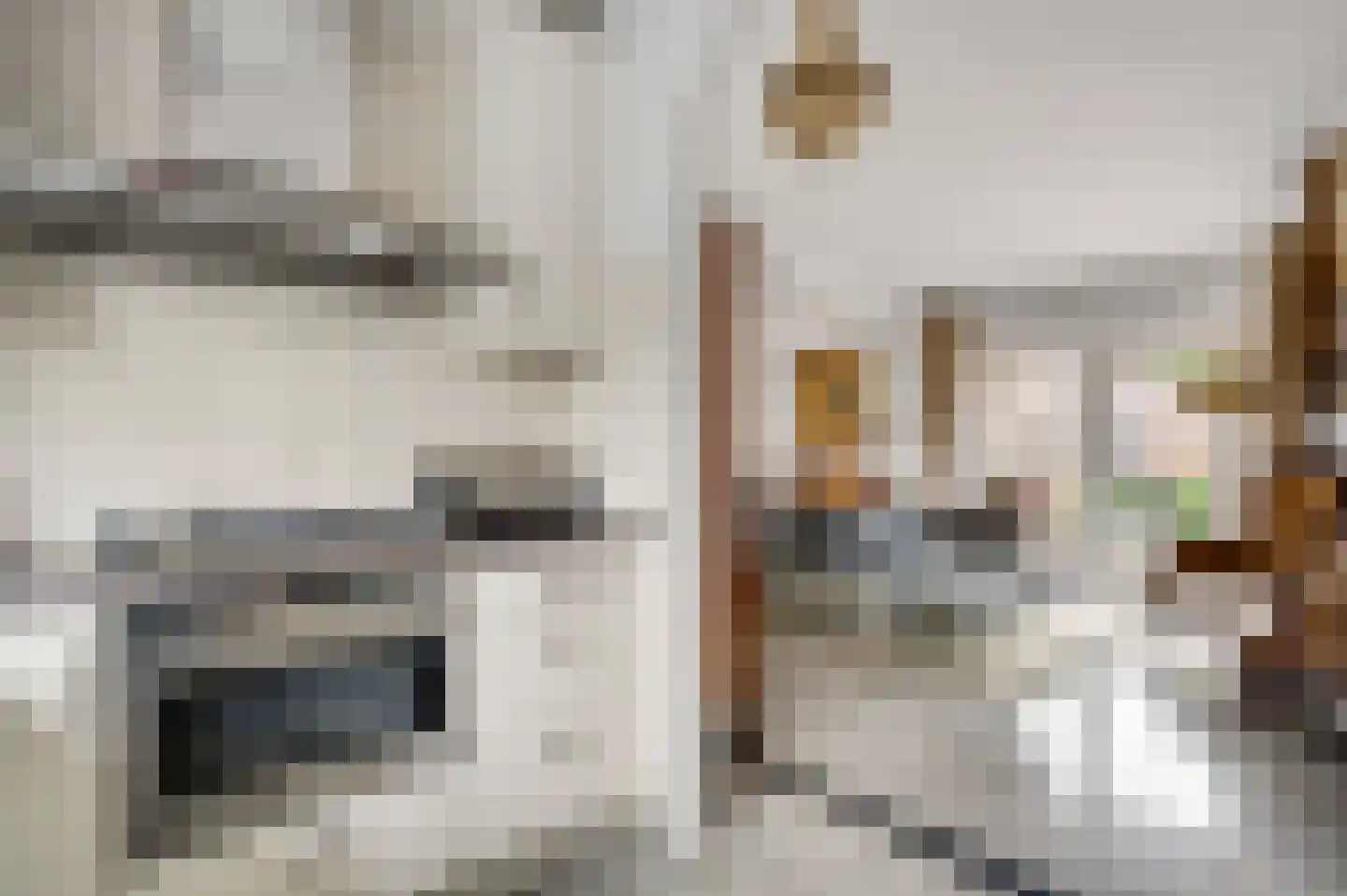 Burgemeester Wittestraat 10 Eindhoven thumbnail 15