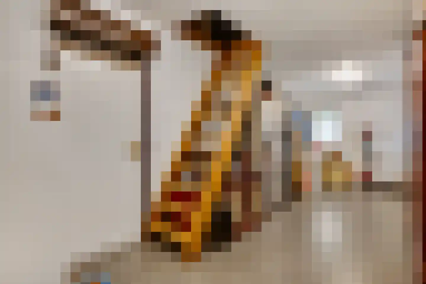Burgemeester Wittestraat 10 Eindhoven thumbnail 26